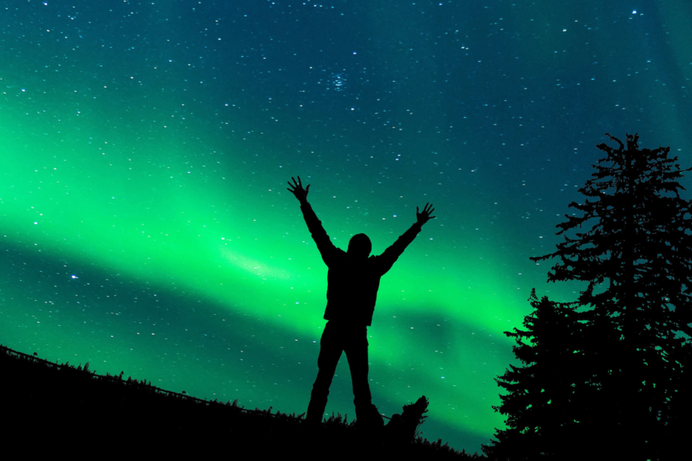 Observation des Aurores Boréales – Image 3