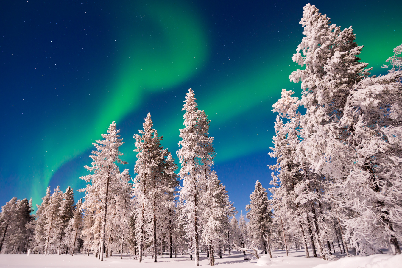 Observation des Aurores Boréales – Image 2
