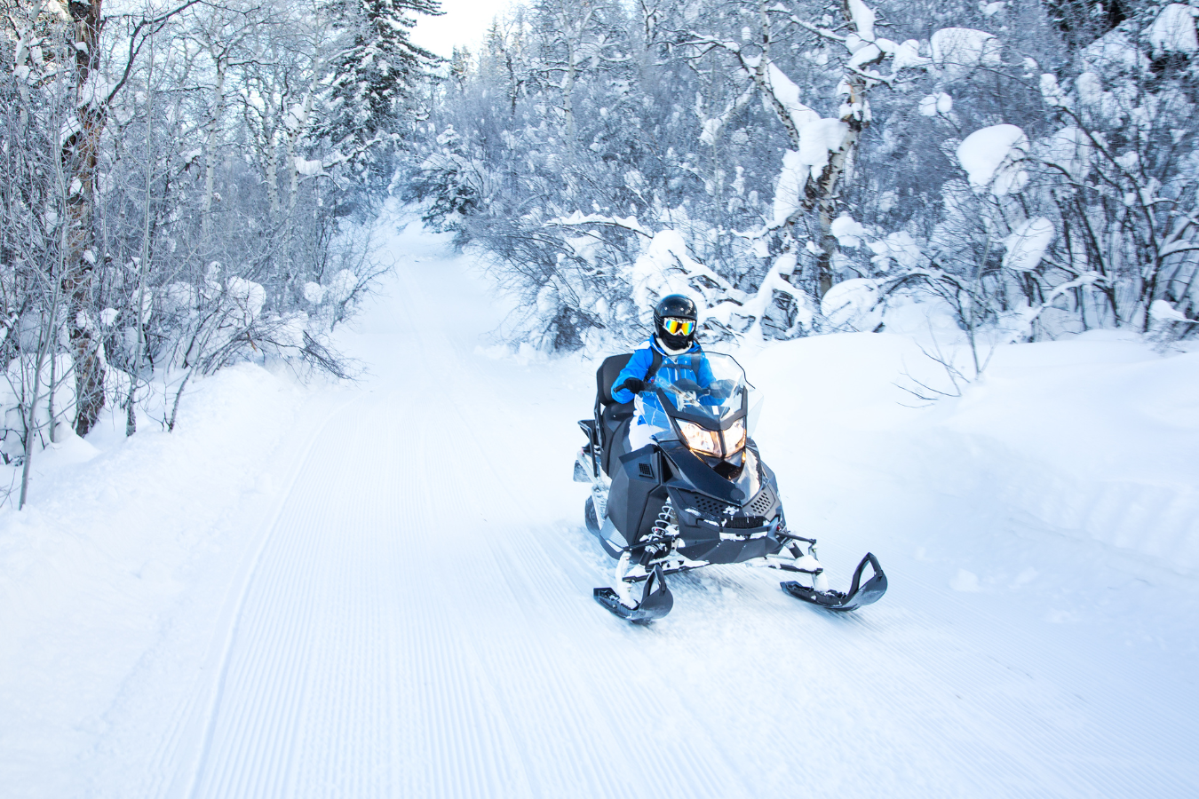Safari en motoneige – Image 5
