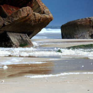 Excursion plongée depuis Capbreton