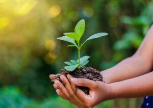 Respect de l’environnement